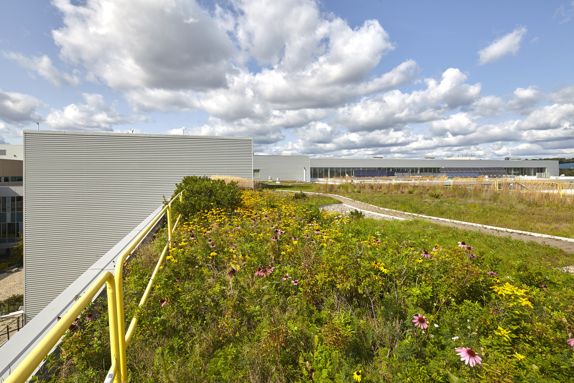 Centre Built Environment Nova Scotia Community College Moriyama Teshima Architects Barrie Langille architecture design construction campus building learning Toronto Ontario Canada east coast