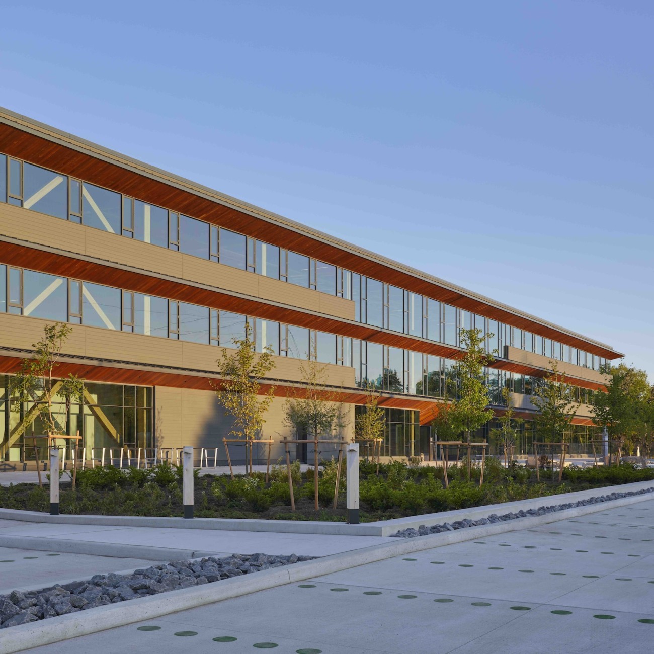 mass timber Moriyama Teshima architect architecture construction Toronto Ontario Canada wood OSSTF