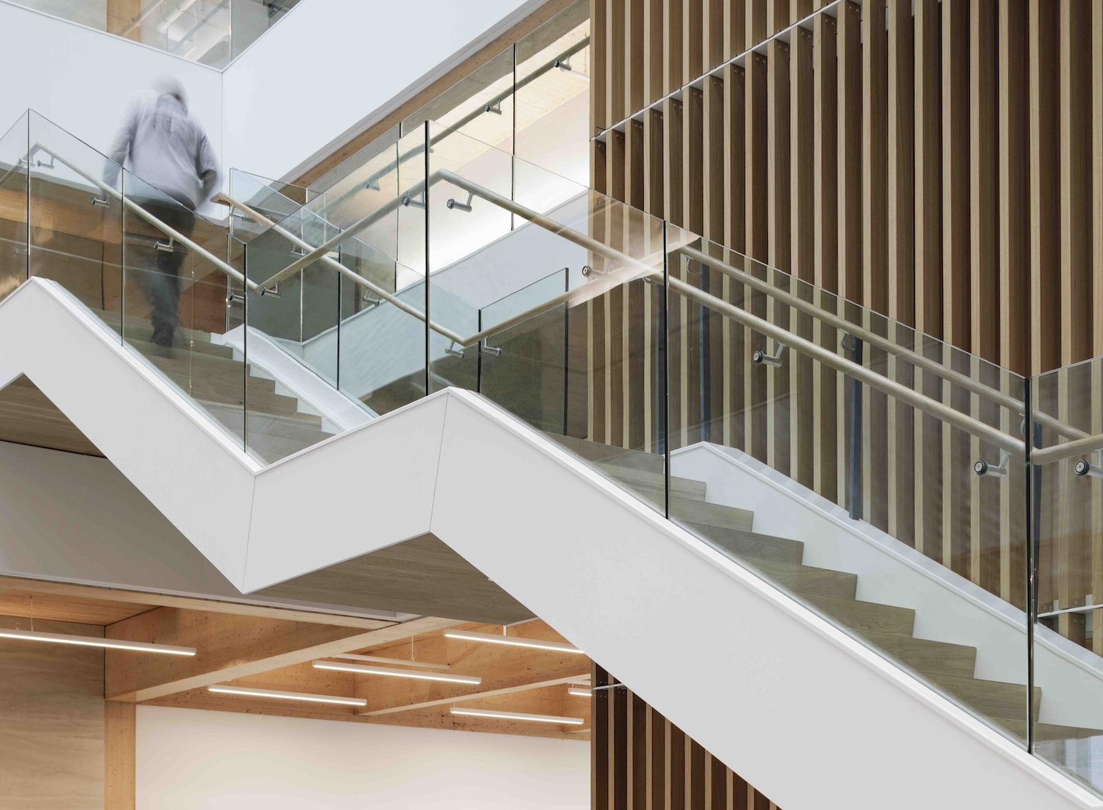 mass timber Moriyama Teshima architect architecture construction Toronto Ontario Canada wood OSSTF