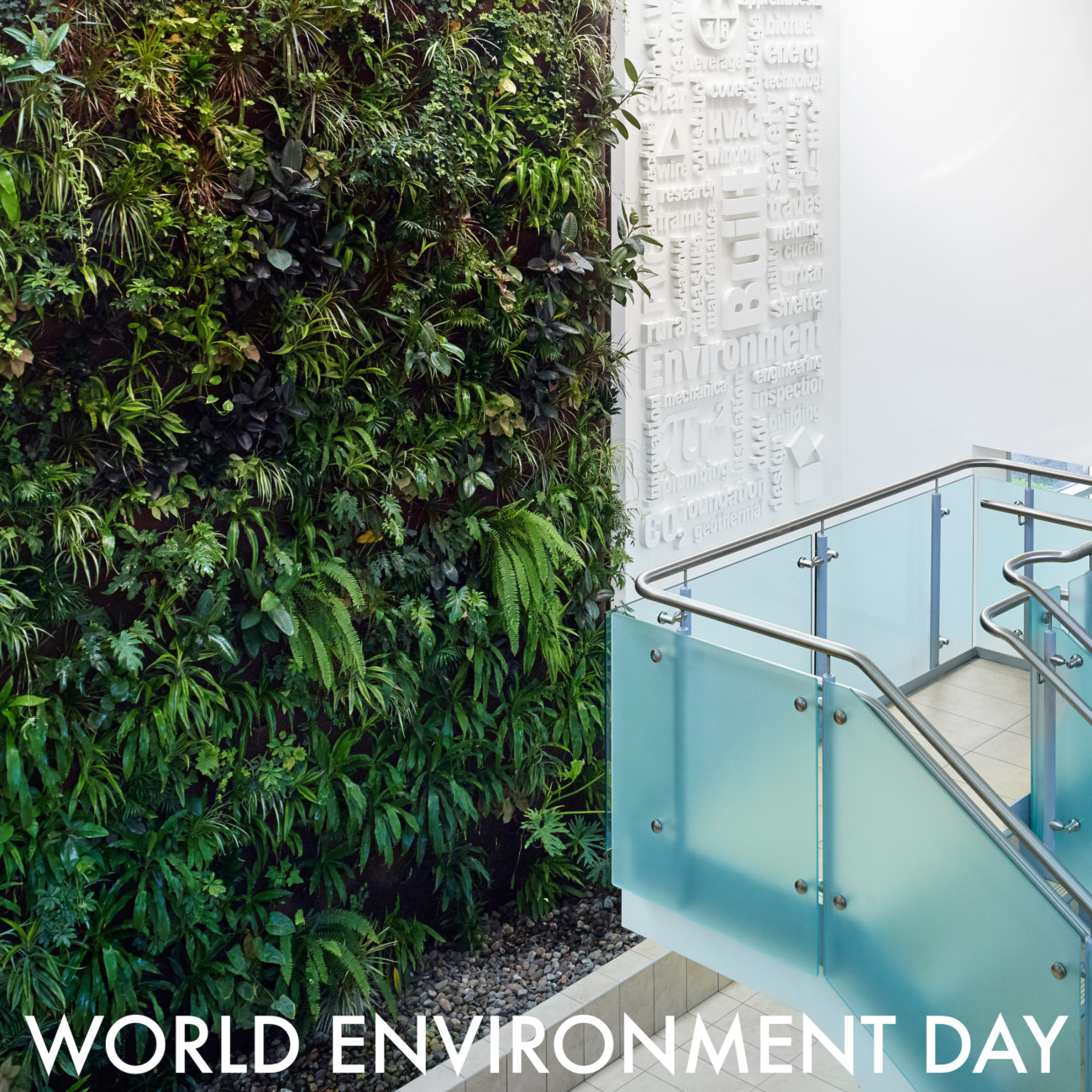 World Environment Day