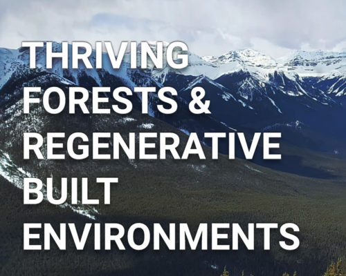 Thriving Forests Symposium