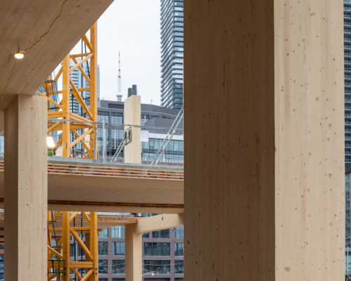 2022 Design Trend of the Year: Mass Timber