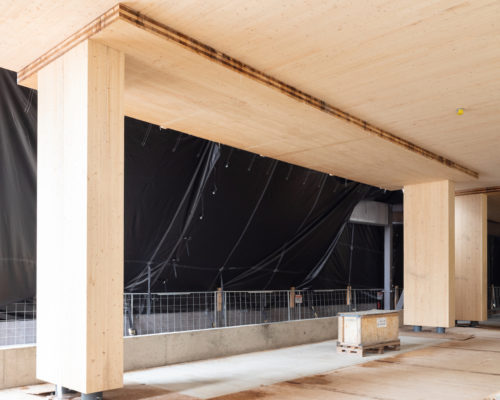 Limberlost Place Construction Update