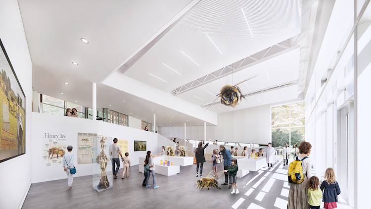 Honey Bee Research Centre University Guelph agriculture Moriyama Teshima architect architecture building design