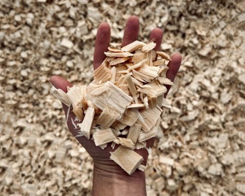 Phil Attends World Conference on Timber Engineering