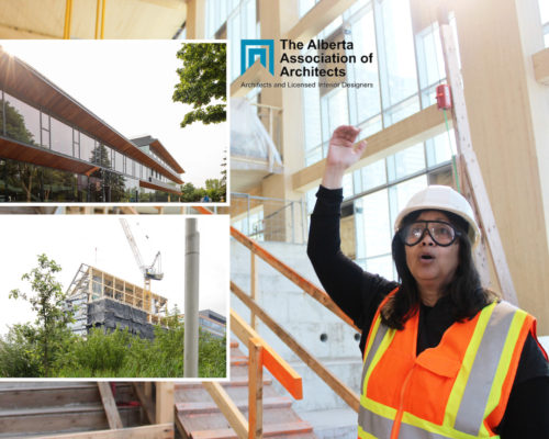 Carol Presenting in AAA’s October Professional Development Series