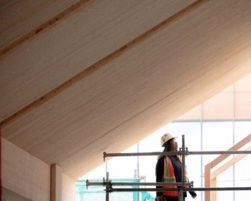 Carol Phillips on Canadian Forestry Can Save the World Podcast