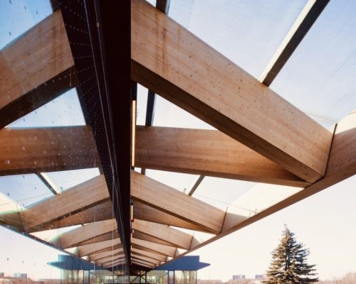 Happy World Wood Day!