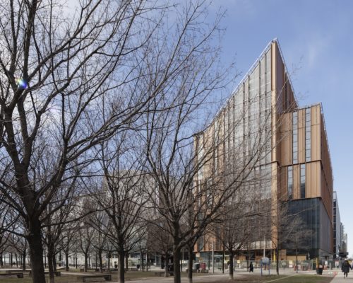 Provincial Government Increases Height Allowance for Mass Timber Buildings