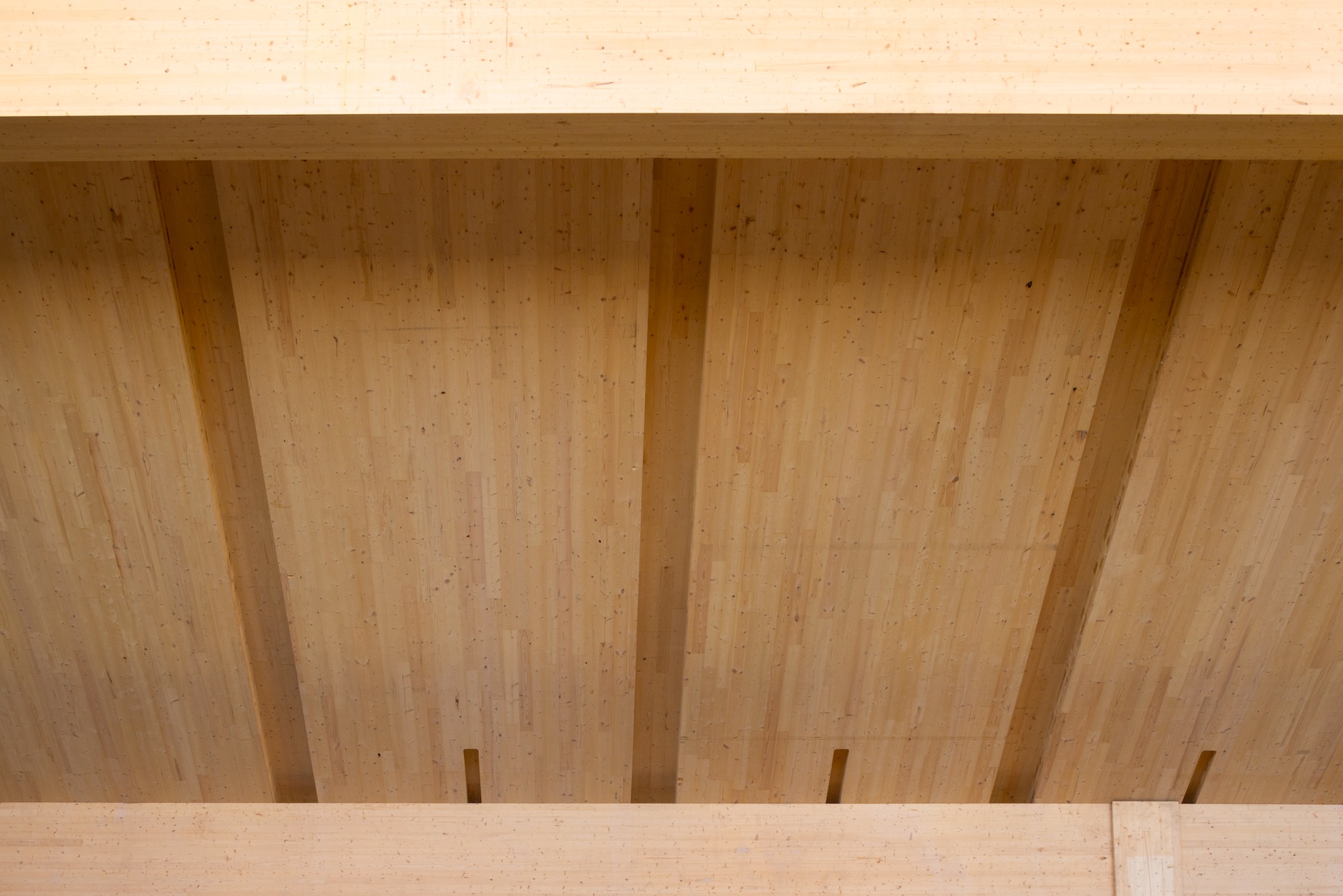 CBC Article – “Is Mass Timber the Next Big Thing in Cheaper, Greener Construction? More Provinces are Saying Yes”