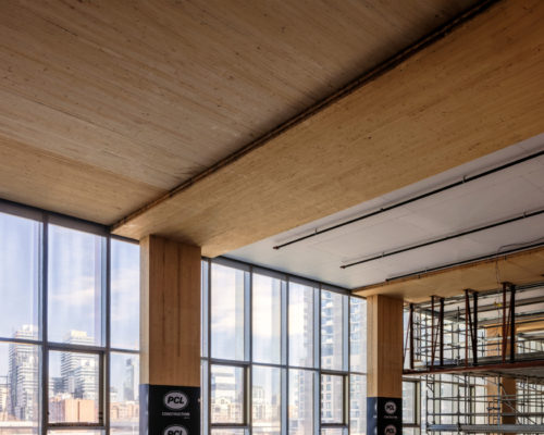 Happy World Environment Day!