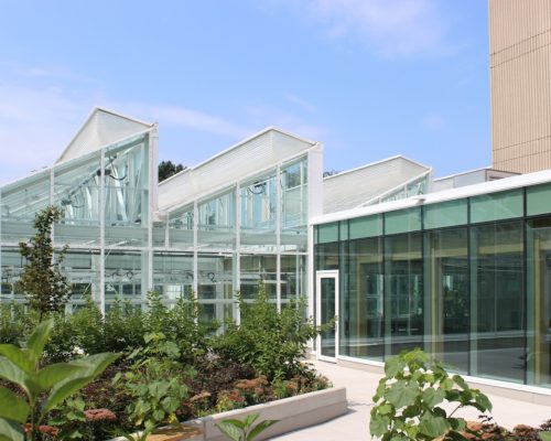 Photoshoot at Newly Completed McMaster University Life Sciences Building Addition and Greenhouse!