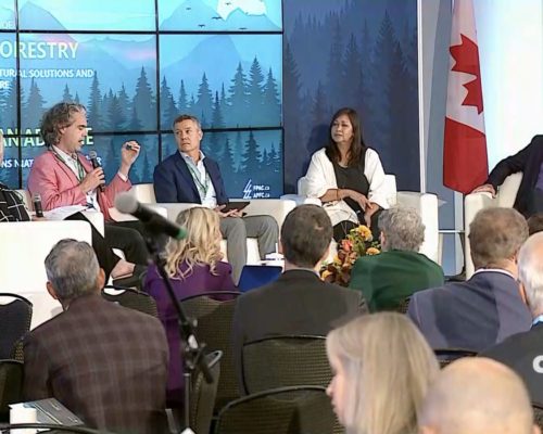 Carol Speaks on Timber in Architecture at National Forest Policy Conference
