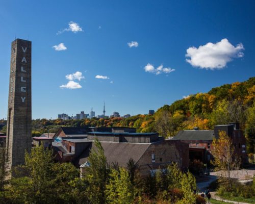 Come Say Hi to the MTA Team at Waterfront Toronto’s Science Fair!