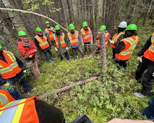 Carol Cochrane Tours Lumber Mill